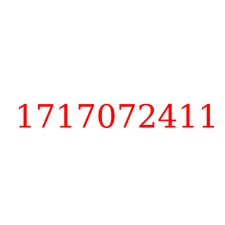 1717072411