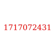 1717072431