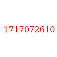 1717072610