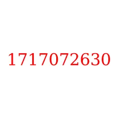 1717072630