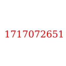 1717072651