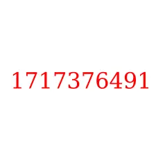 1717376491