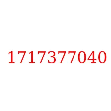 1717377040