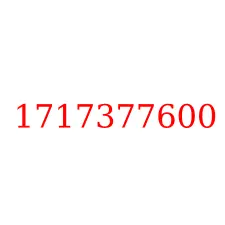1717377600