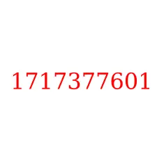 1717377601