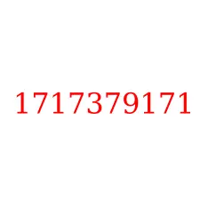 1717379171