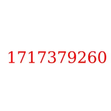 1717379260