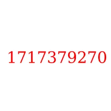 1717379270