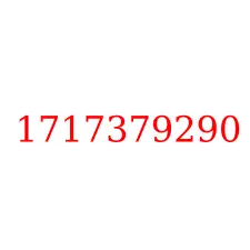 1717379290