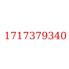 1717379340