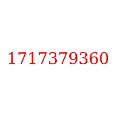 1717379360