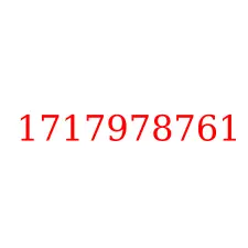 1717978761