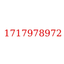 1717978972