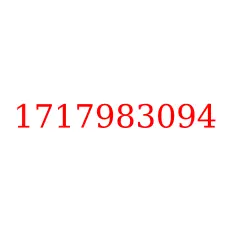 1717983094