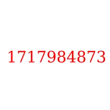 1717984873