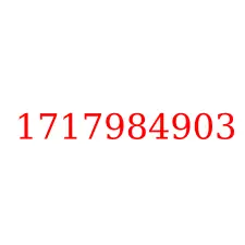 1717984903