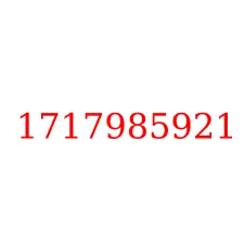 1717985921