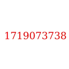 1719073738