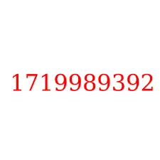 1719989392