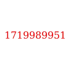 1719989951