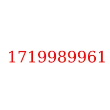 1719989961