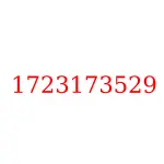 1723173529 исузу запчасти