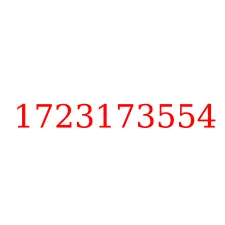 1723173554