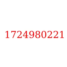 1724980221