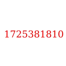 1725381810