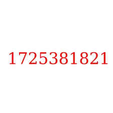 1725381821
