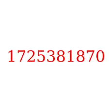 1725381870