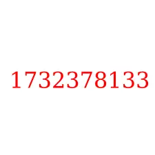 1732378133