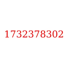 1732378302