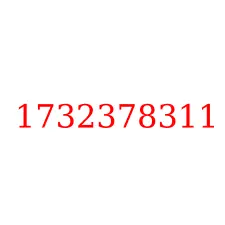 1732378311
