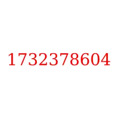 1732378604