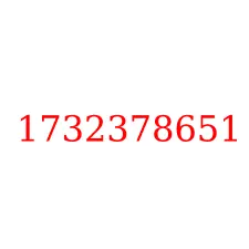 1732378651