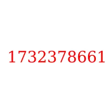 1732378661