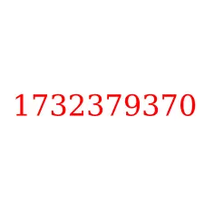 1732379370
