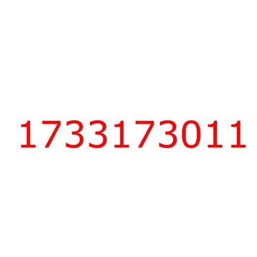 1733173011 SUPPORT; ROOF FRT, 1733173011