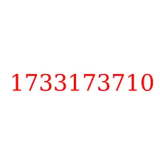 1733173710