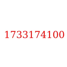 1733174100