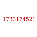 1733174521 исузу запчасти