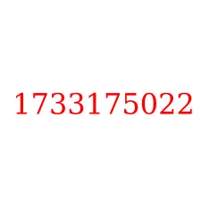 1733175022