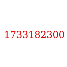 1733182300