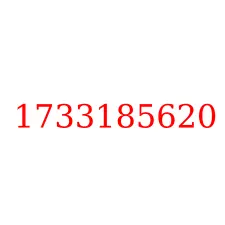 1733185620