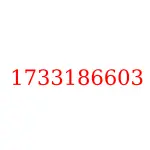 1733186603 исузу запчасти