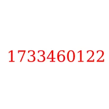 1733460122
