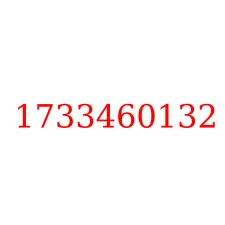 1733460132