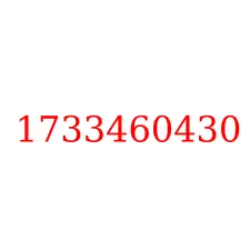 1733460430