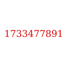 1733477891